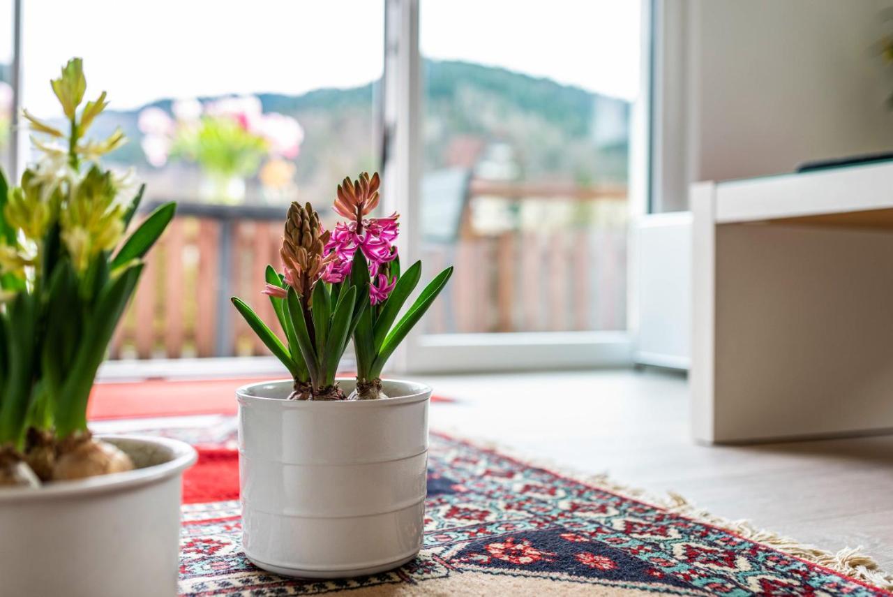 Vogtshaus Apartment Gernsbach Luaran gambar
